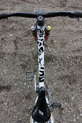 SKILL™ Frame Protection | Artist Edition: Black Leopard - skill.shop