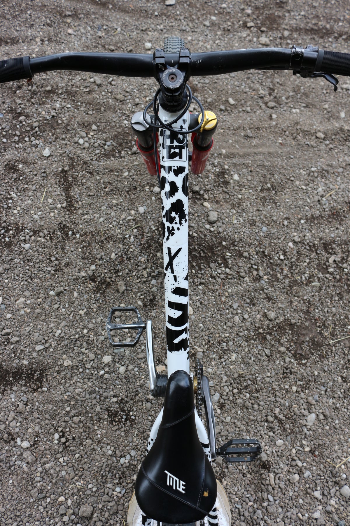 SKILL™ Frame Protection | Artist Edition: Black Leopard - skill.shop