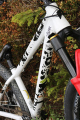 SKILL™ Frame Protection | Artist Edition: Black Leopard - skill.shop