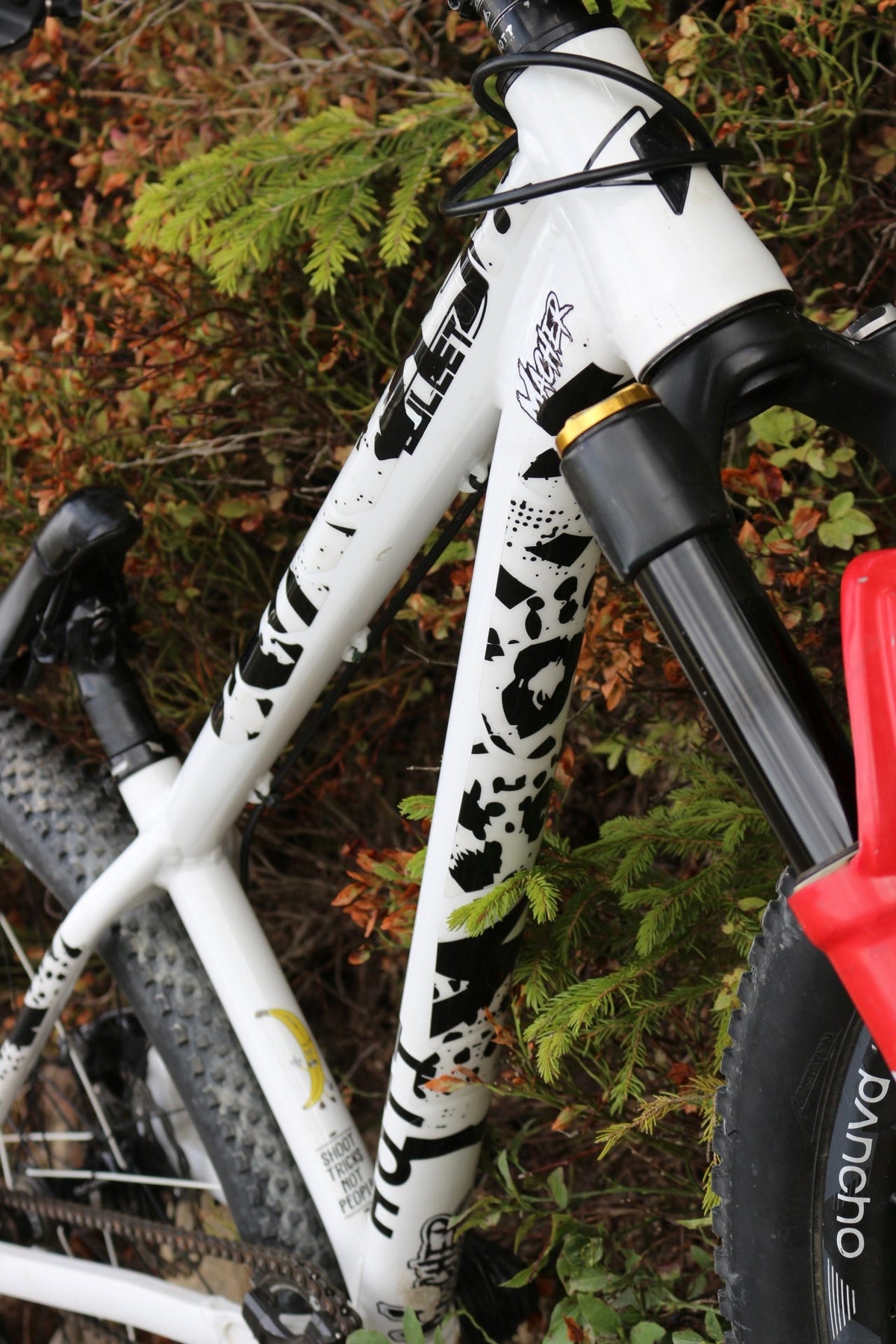 SKILL™ Frame Protection | Artist Edition: Black Leopard - skill.shop